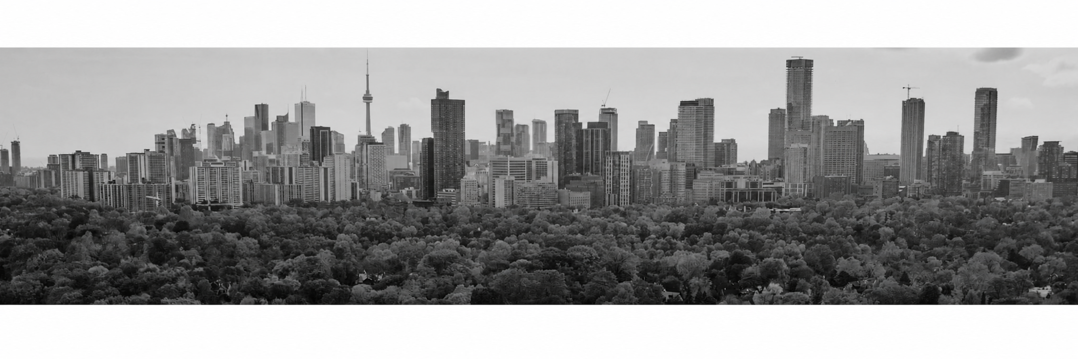 Big city buildings landscape