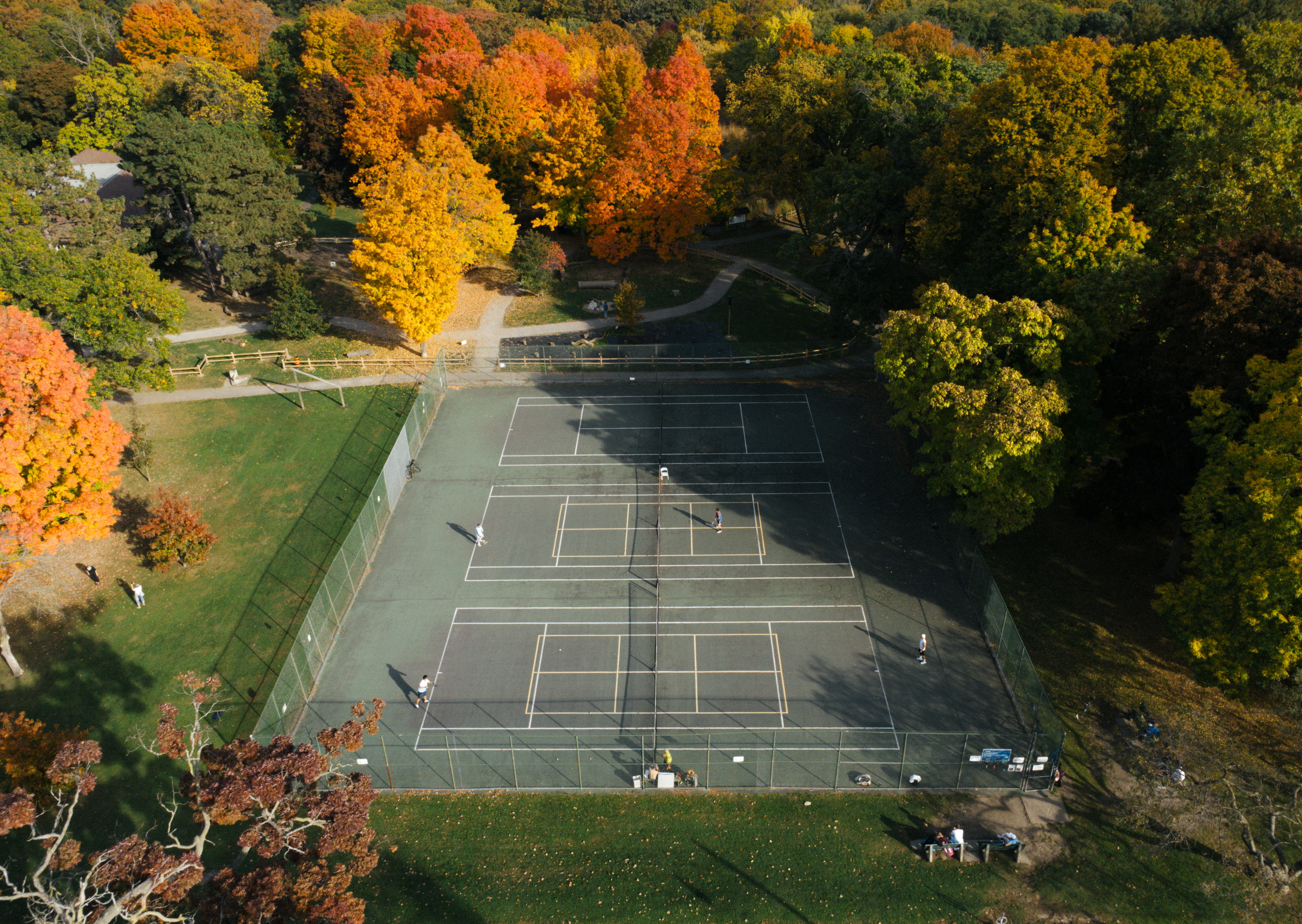 Runnymede-Bloor West Village amenities and lifestyle